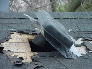 Raccoon damage to 
 roof soffit vent